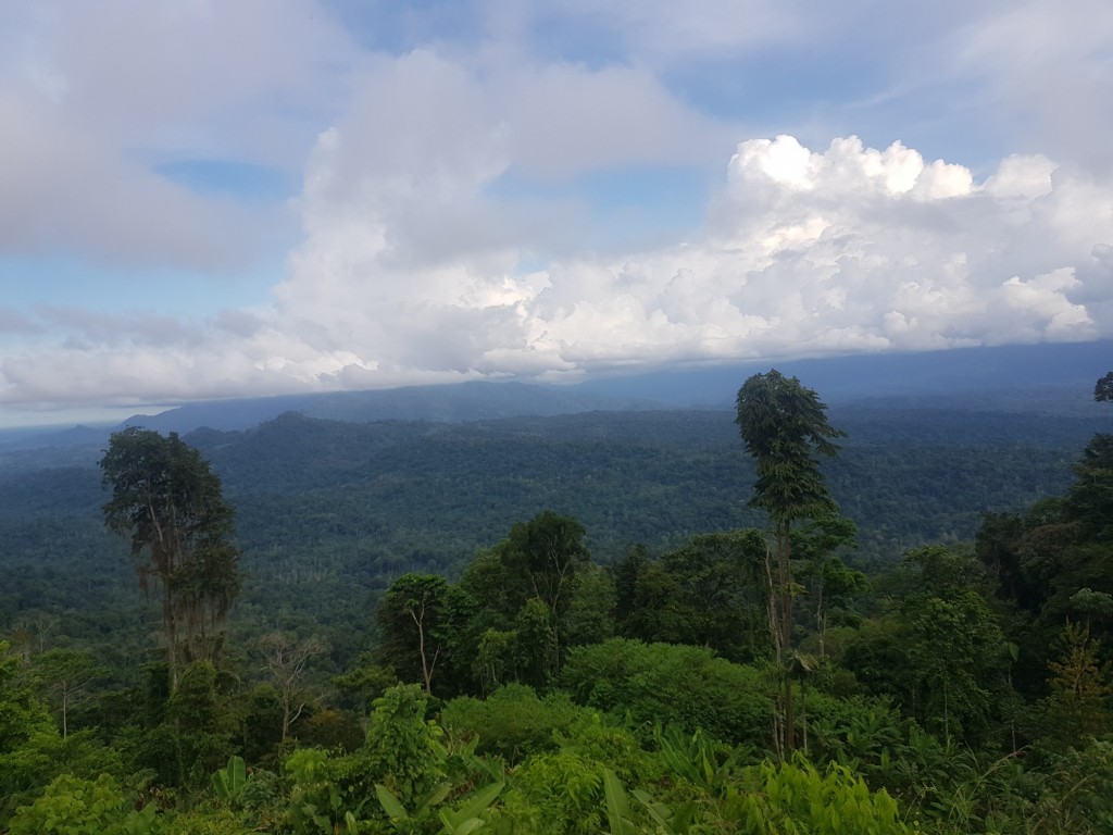Foto: Pakoramica valle de la Estrrlla - Talamanca (Limón), Costa Rica