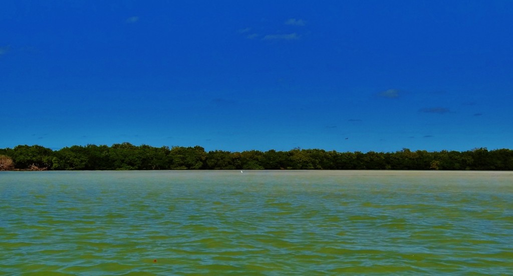 Foto: Isla Pasión - Isla Pasión (Quintana Roo), México