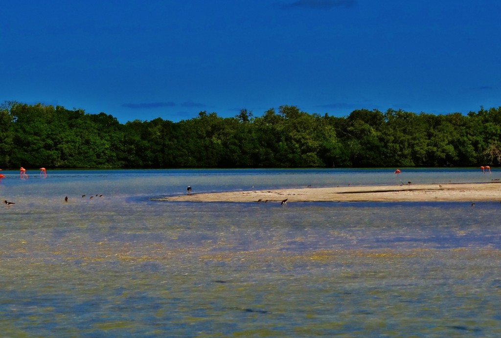 Foto: Isla Pasión - Isla Pasión (Quintana Roo), México