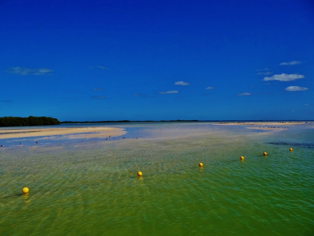Foto: Isla Pasión - Isla Pasión (Quintana Roo), México
