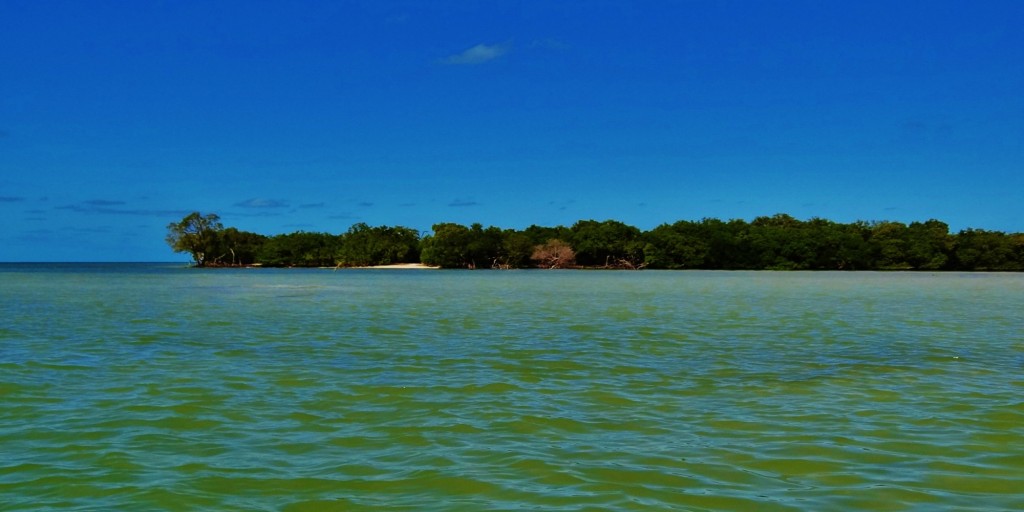 Foto: Isla Pasión - Isla Pasión (Quintana Roo), México