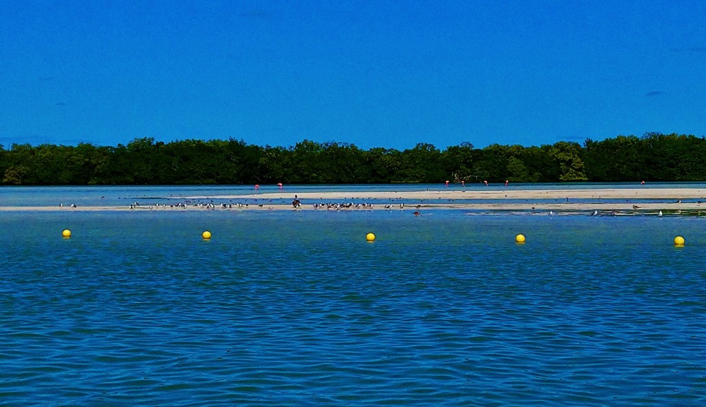 Foto: Isla Pasión - Isla Pasión (Quintana Roo), México