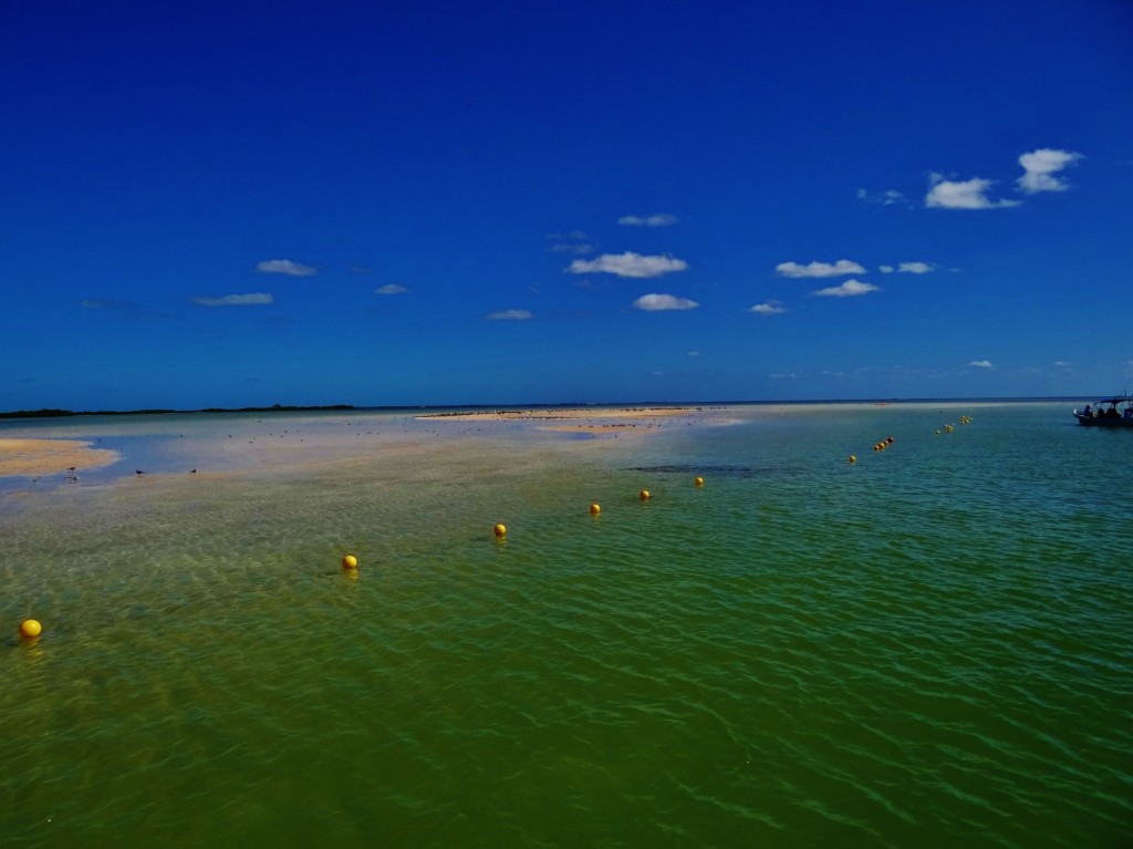 Foto: Isla Pasión - Isla Pasión (Quintana Roo), México