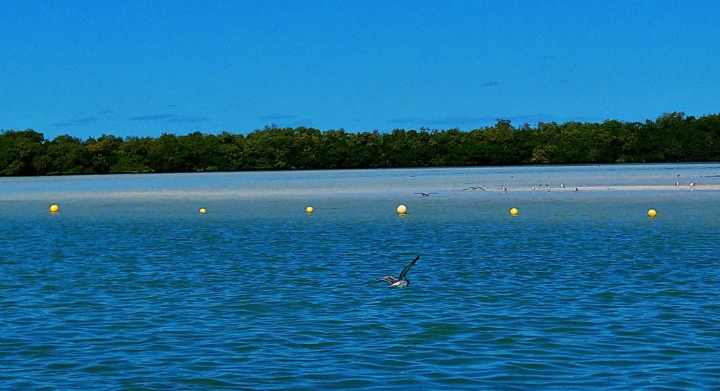 Foto: Isla Pasión - Isla Pasión (Quintana Roo), México
