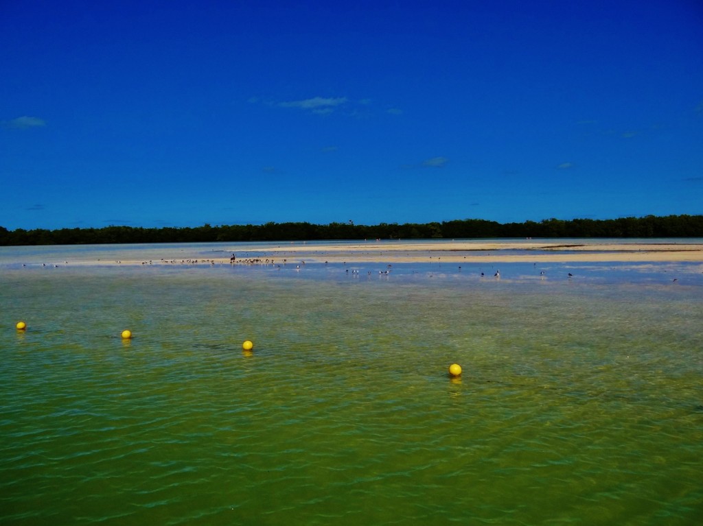 Foto: Isla Pasión - Isla Pasión (Quintana Roo), México