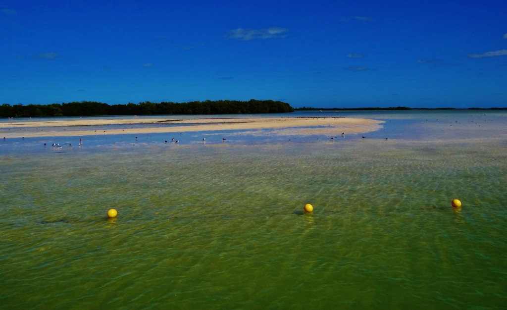 Foto: Isla Pasión - Isla Pasión (Quintana Roo), México