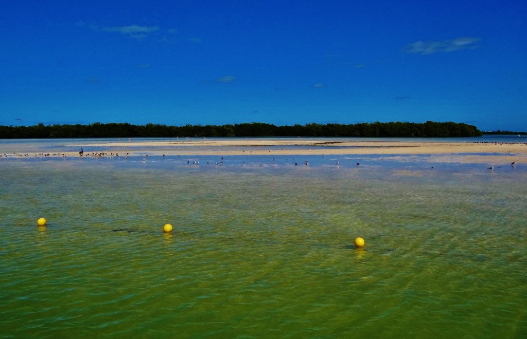 Foto: Isla Pasión - Isla Pasión (Quintana Roo), México