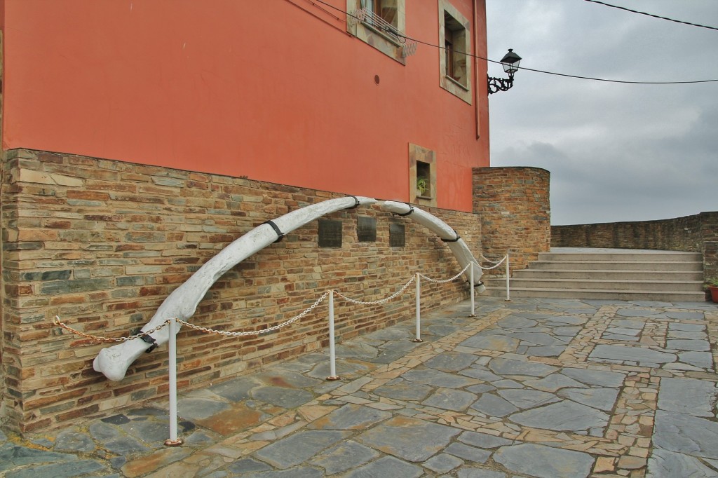 Foto: Hueso de ballena - Puerto de Vega (Asturias), España