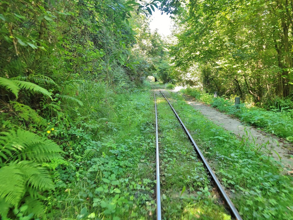 Foto: Ecomuseo minero - Ciaño (Asturias), España