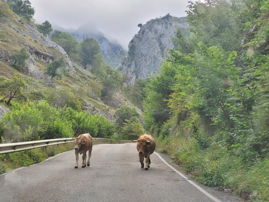 Foto: Por la carretera - Sotres (Asturias), España