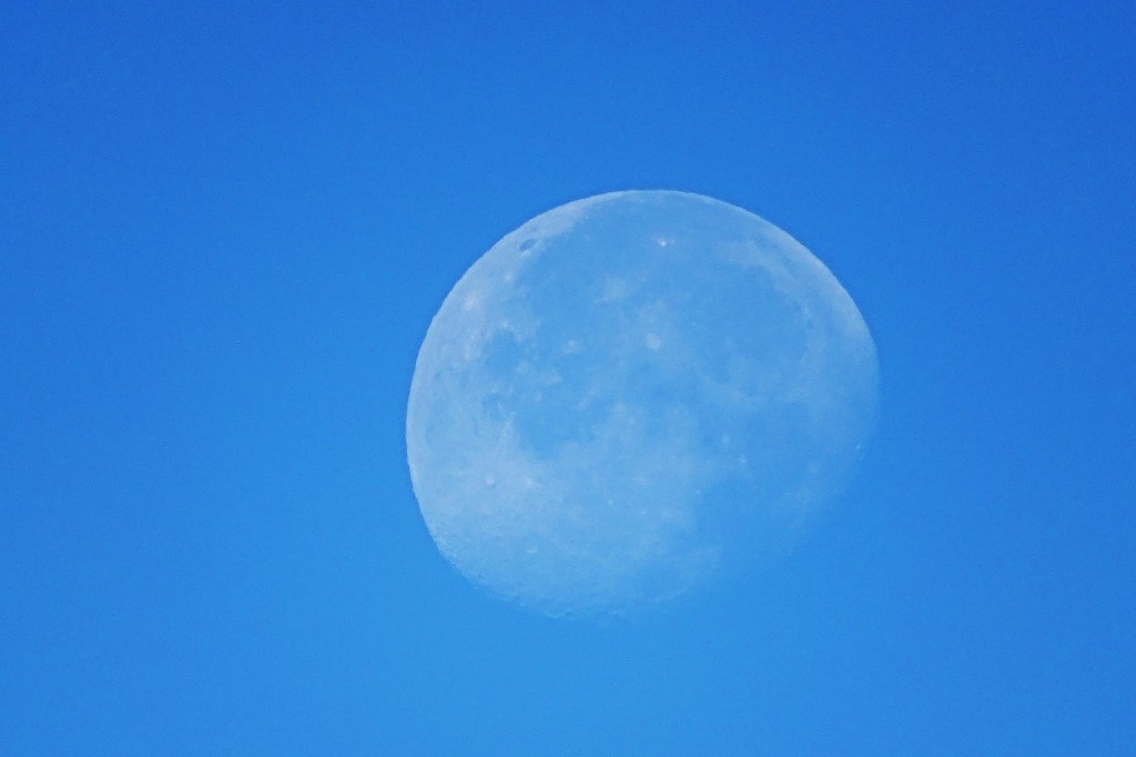 Foto: La Luna por la mañana - Valencia (València), España