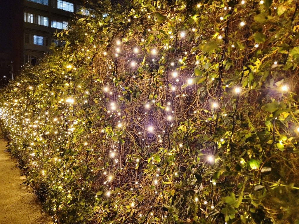 Foto: Las luces de Sant Pau - Barcelona (Cataluña), España