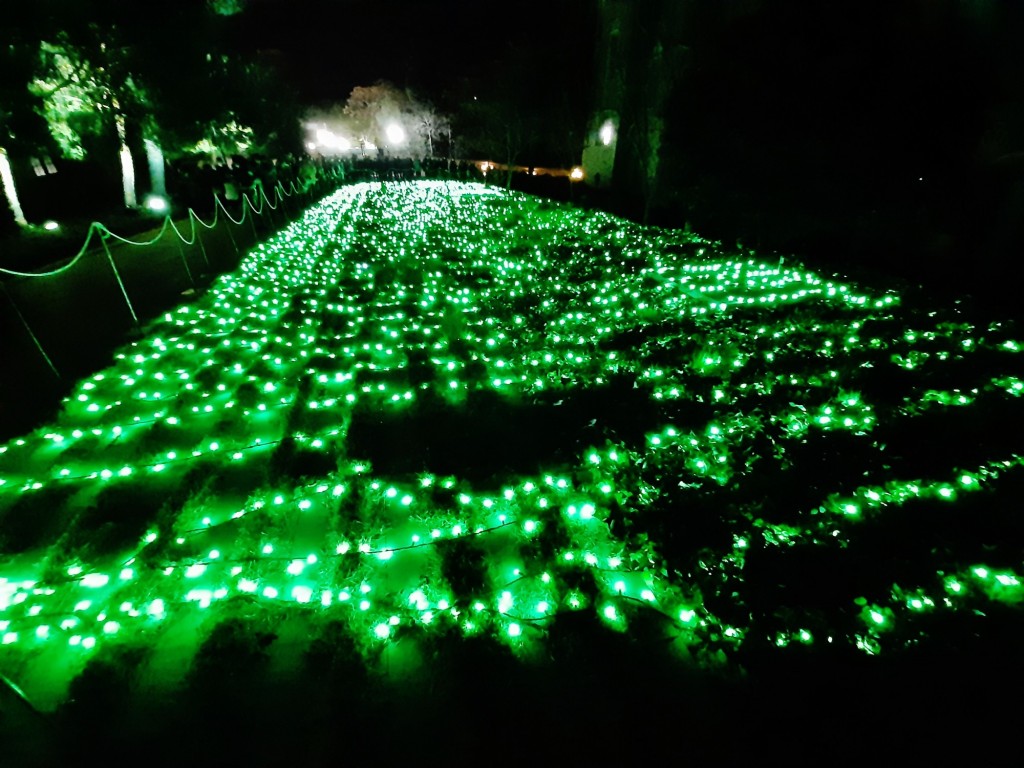 Foto: Las luces de Sant Pau - Barcelona (Cataluña), España