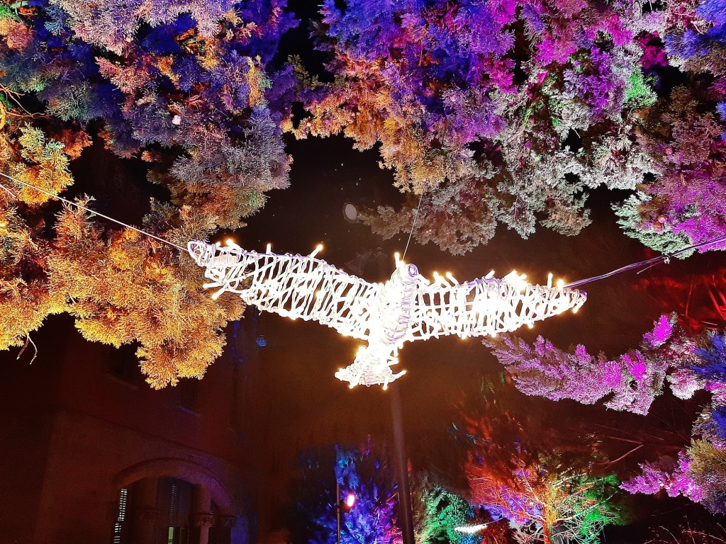 Foto: Las luces de Sant Pau - Barcelona (Cataluña), España