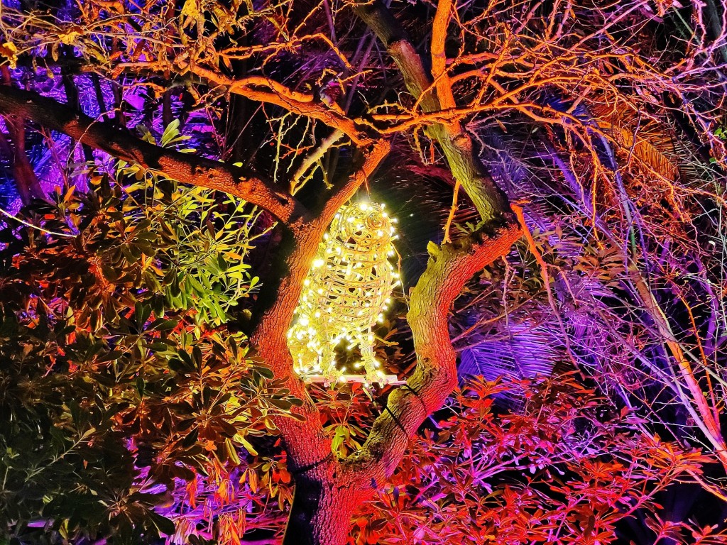 Foto: Las luces de Sant Pau - Barcelona (Cataluña), España