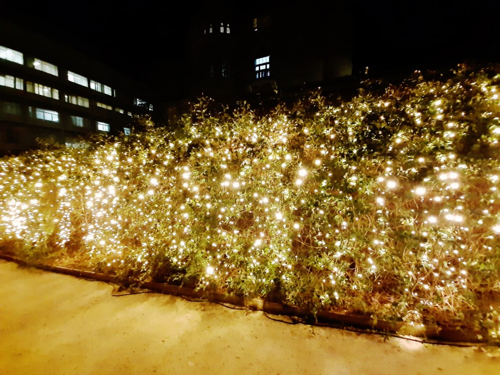 Foto: Las luces de Sant Pau - Barcelona (Cataluña), España