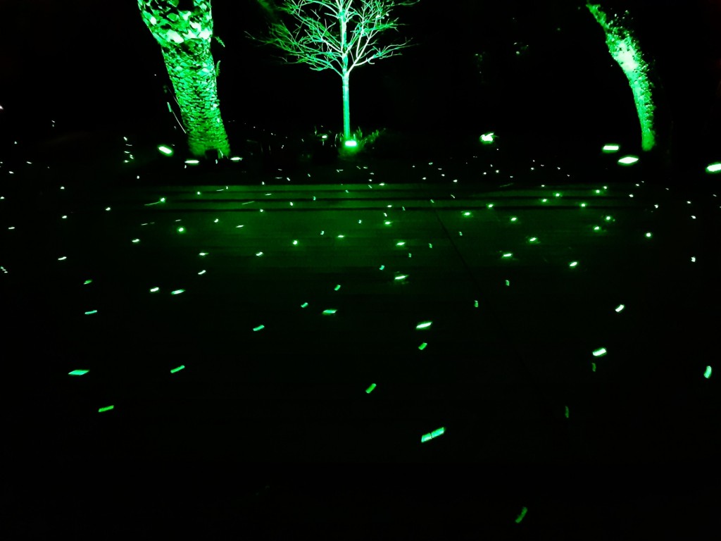 Foto: Las luces de Sant Pau - Barcelona (Cataluña), España