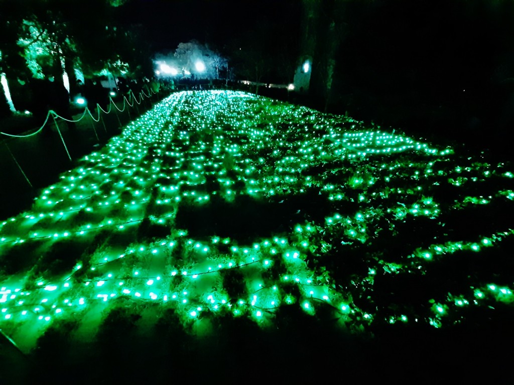 Foto: Las luces de Sant Pau - Barcelona (Cataluña), España