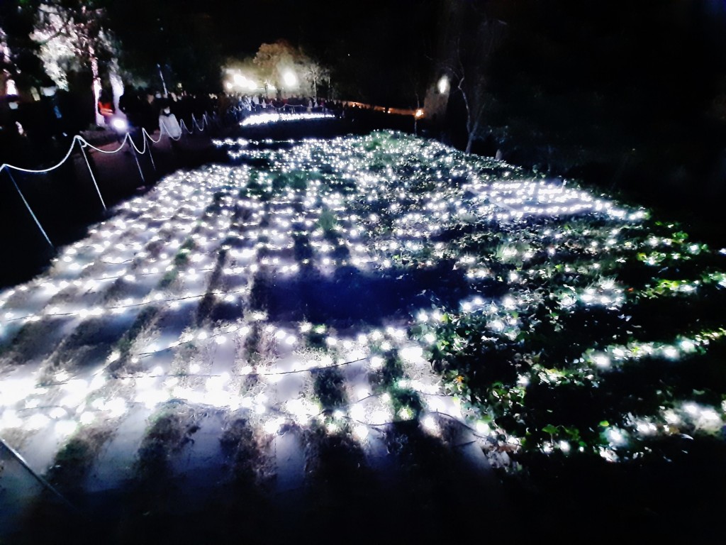 Foto: Las luces de Sant Pau - Barcelona (Cataluña), España