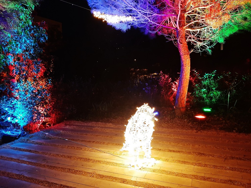 Foto: Las luces de Sant Pau - Barcelona (Cataluña), España