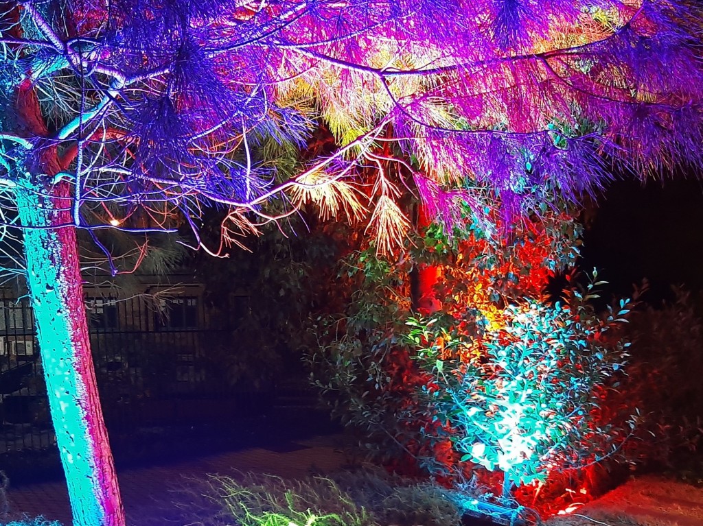 Foto: Las luces de Sant Pau - Barcelona (Cataluña), España