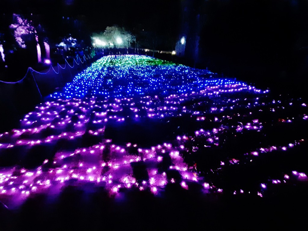 Foto: Las luces de Sant Pau - Barcelona (Cataluña), España