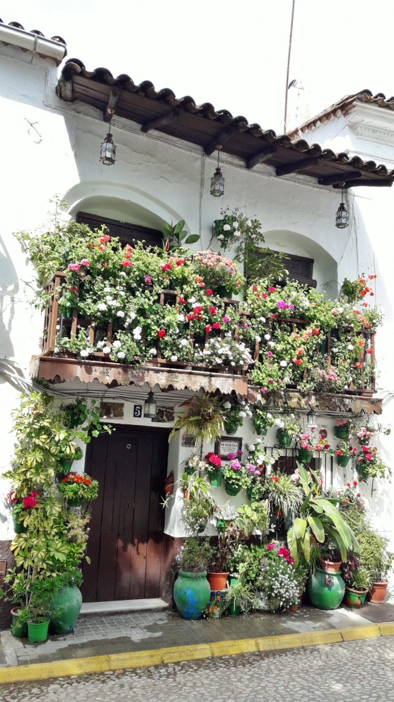Foto: Vista del pueblo - Fuenteheridos (Huelva), España