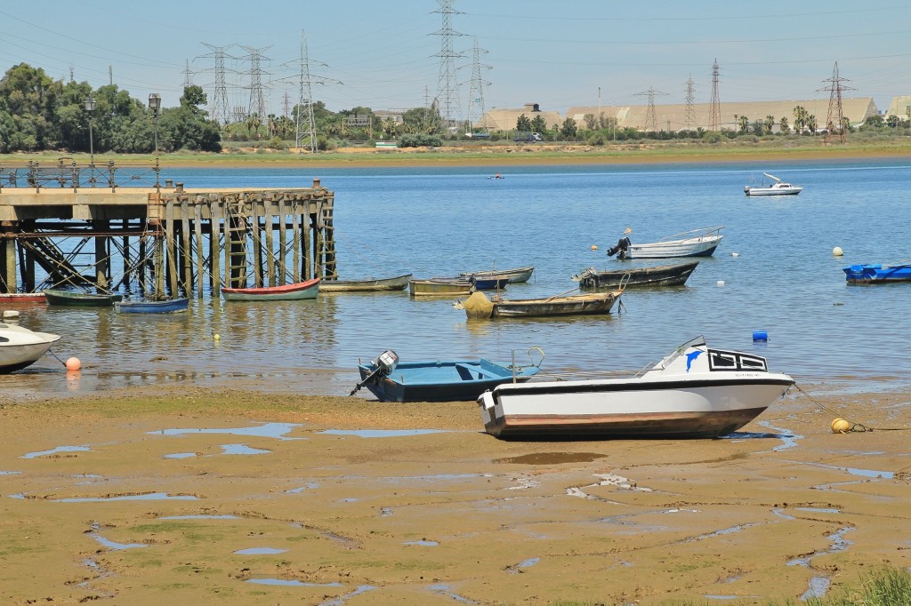Foto: Río Odiel - Palos de la Frontera (Huelva), España