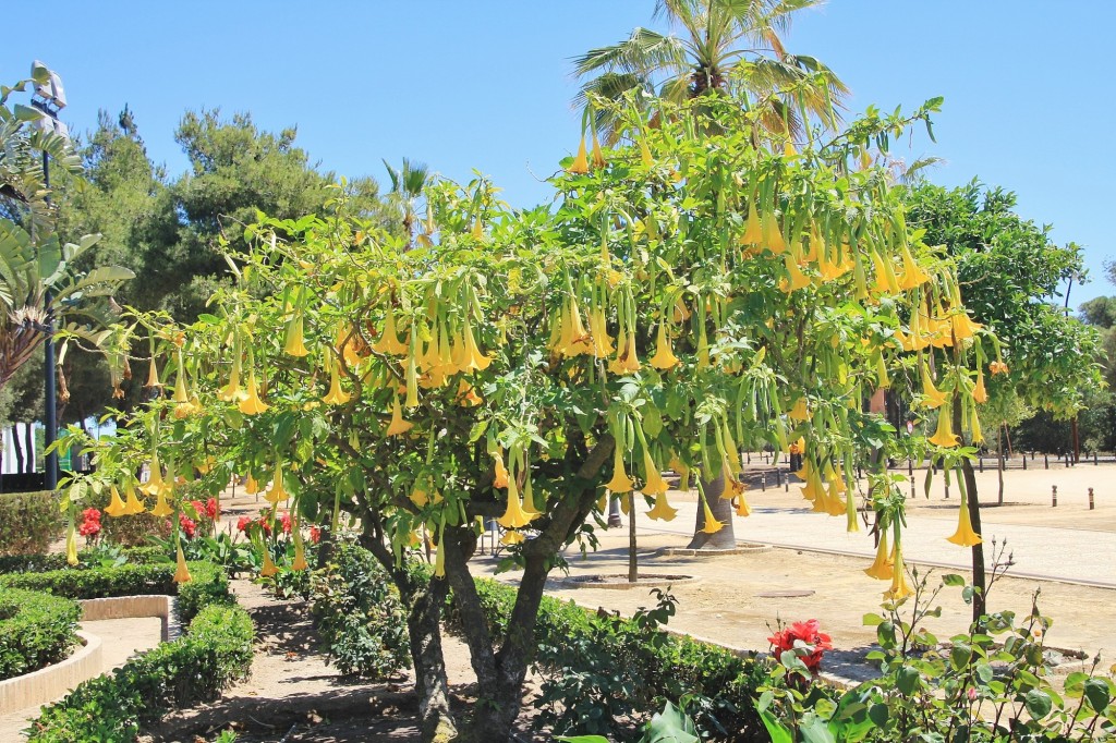 Foto: Jardines de la Rábida - Palos de la Frontera (Huelva), España