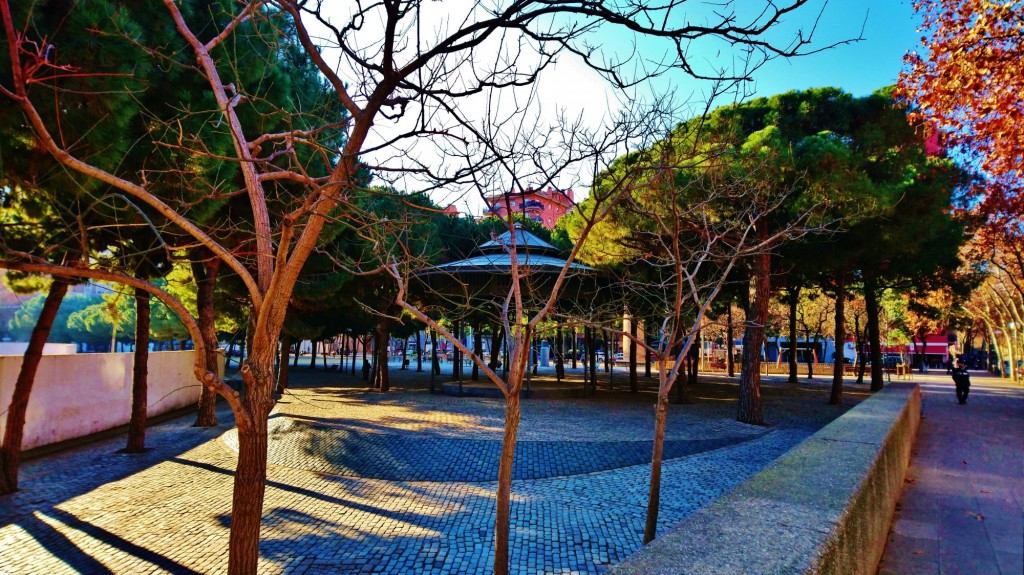 Foto: Plaça de la Palmera de Sant Martí - Barcelona (Cataluña), España