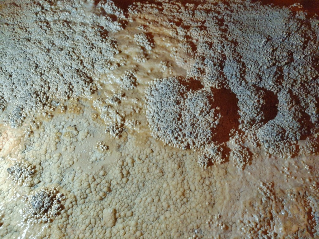 Foto: Gruta de las Maravillas - Aracena (Huelva), España