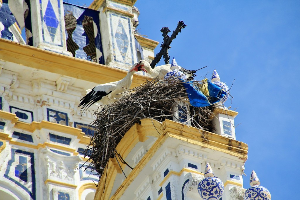 Foto: Centro histórico - La Palma del Condado (Huelva), España