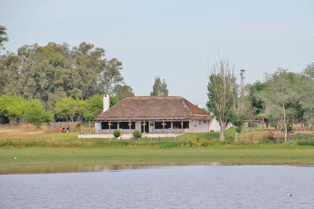 Foto: Charco de la Boca - El Rocío (Huelva), España
