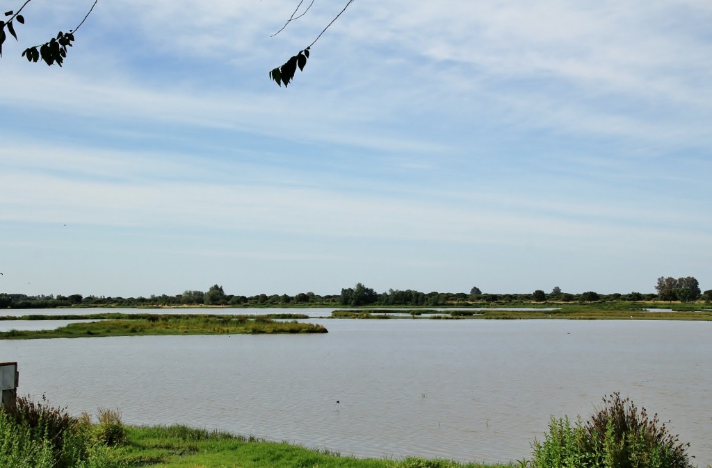 Foto: Charco de la Boca - El Rocío (Huelva), España