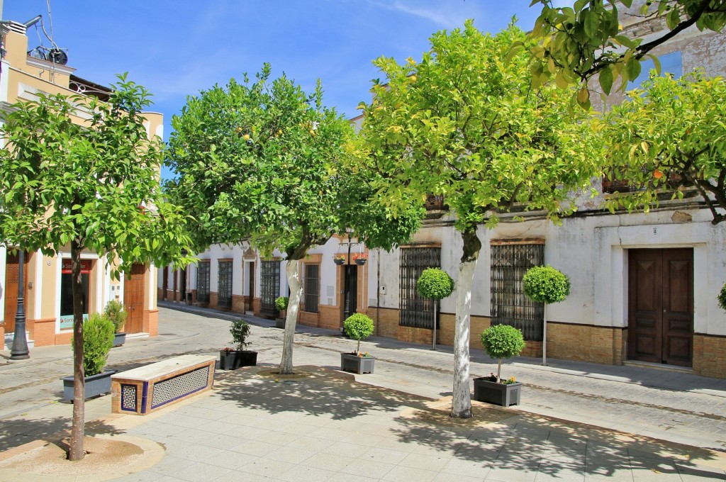 Foto: Centro histórico - La Palma del Condado (Huelva), España
