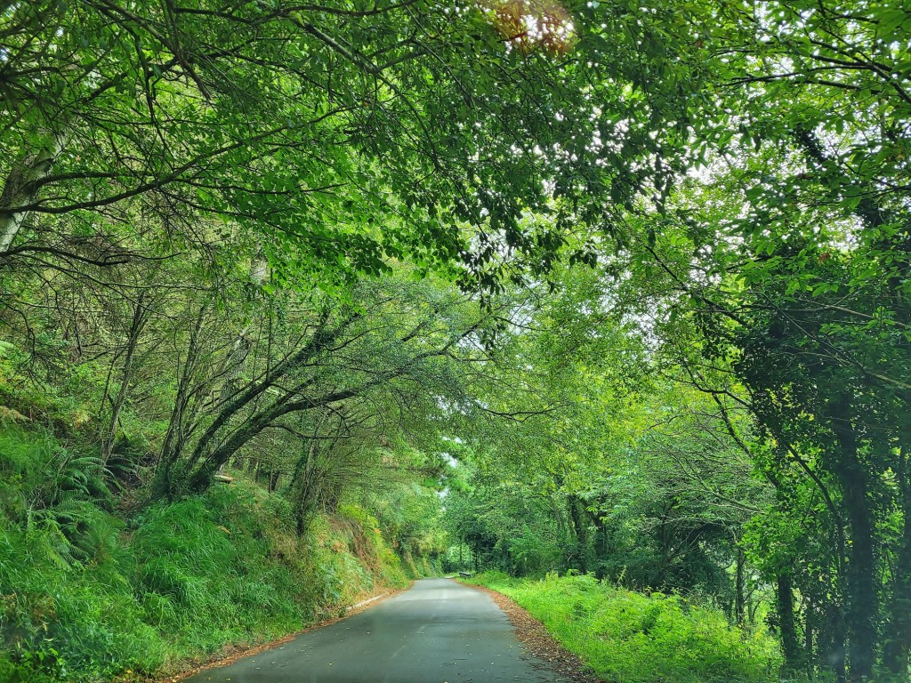 Foto: Carretera - Taramundi (Asturias), España