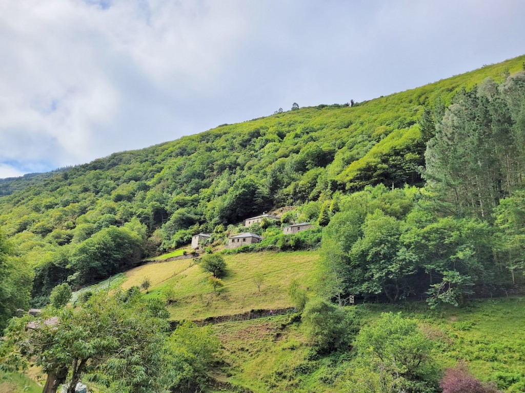 Foto de Area Recreativa de Esquíos en Taramundi, Asturias