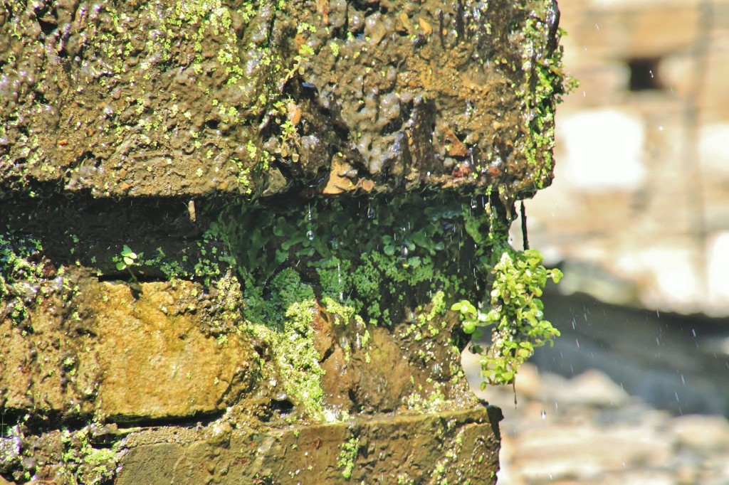 Foto: Conjunto etnográfico Os Teixois - Taramundi (Asturias), España
