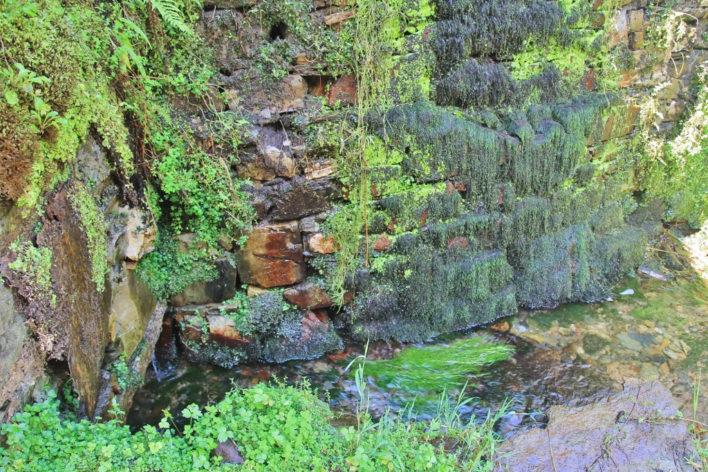 Foto: Conjunto etnográfico Os Teixois - Taramundi (Asturias), España