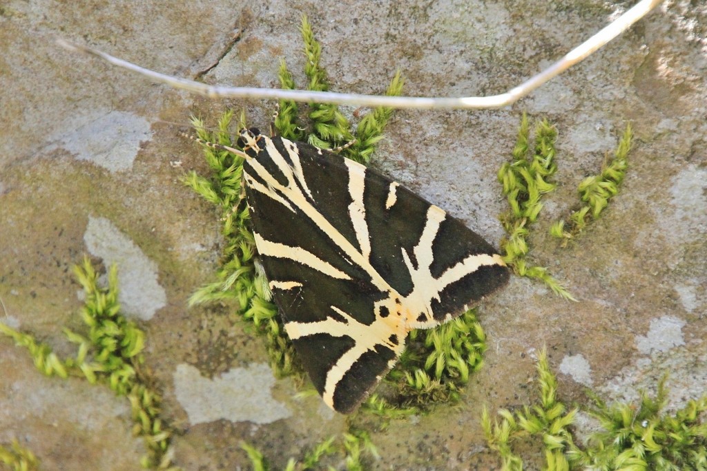 Foto: Conjunto etnográfico Os Teixois - Taramundi (Asturias), España