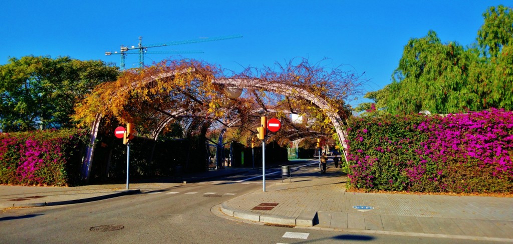 Foto: Parc Central del Poblenou - Barcelona (Cataluña), España