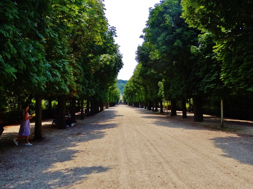 Foto: Schloss Schönbrunn - Wien (Vienna), Austria