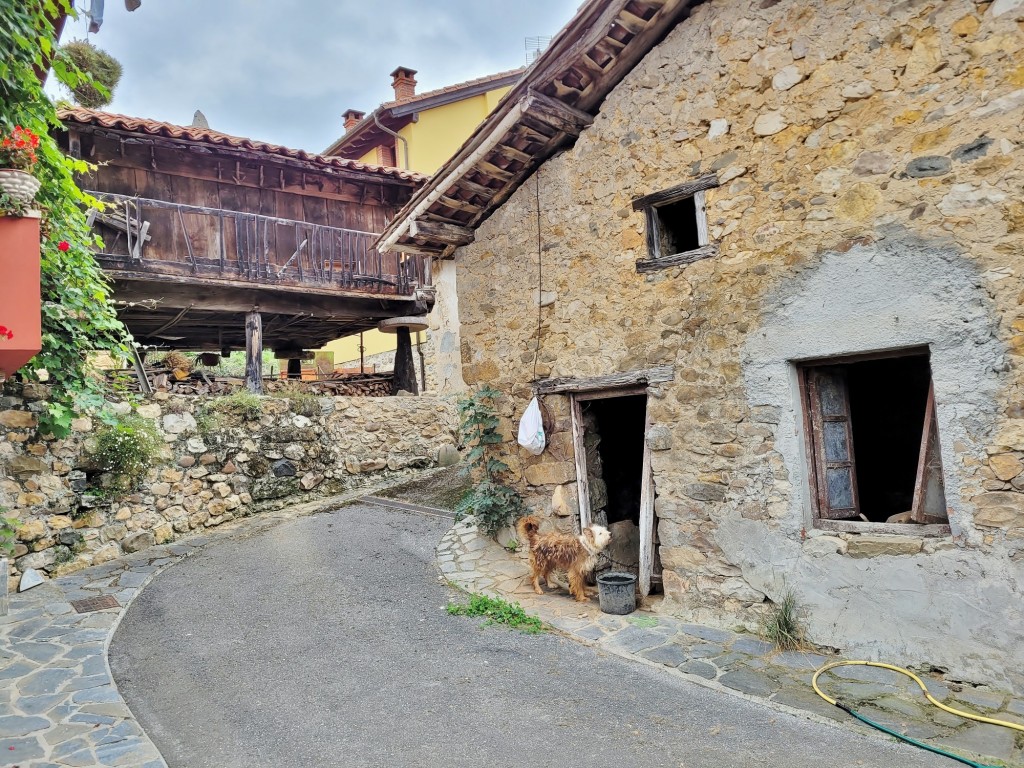 Foto: Vista del pueblo - Villanueva de Cangas de Onís (Asturias), España
