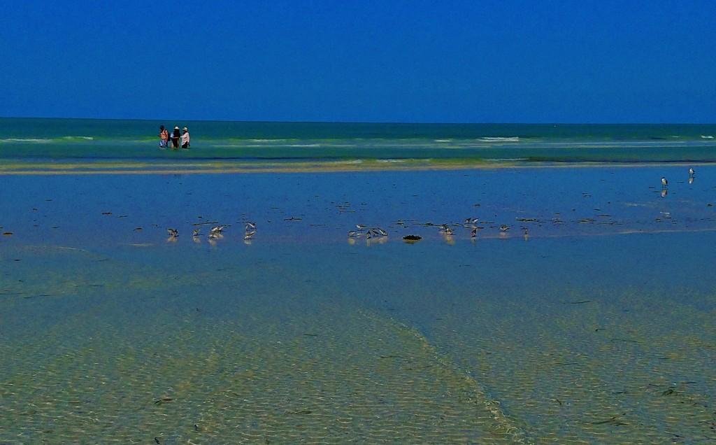 Foto: Playa Holbox - Holbox (Quintana Roo), México