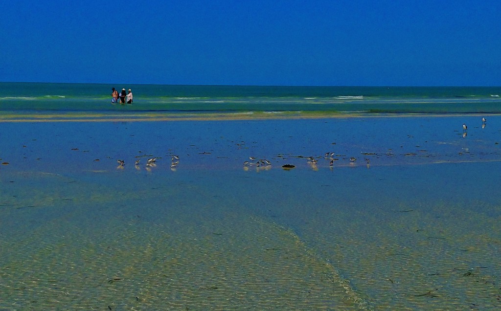 Foto: Playa Holbox - Holbox (Quintana Roo), México