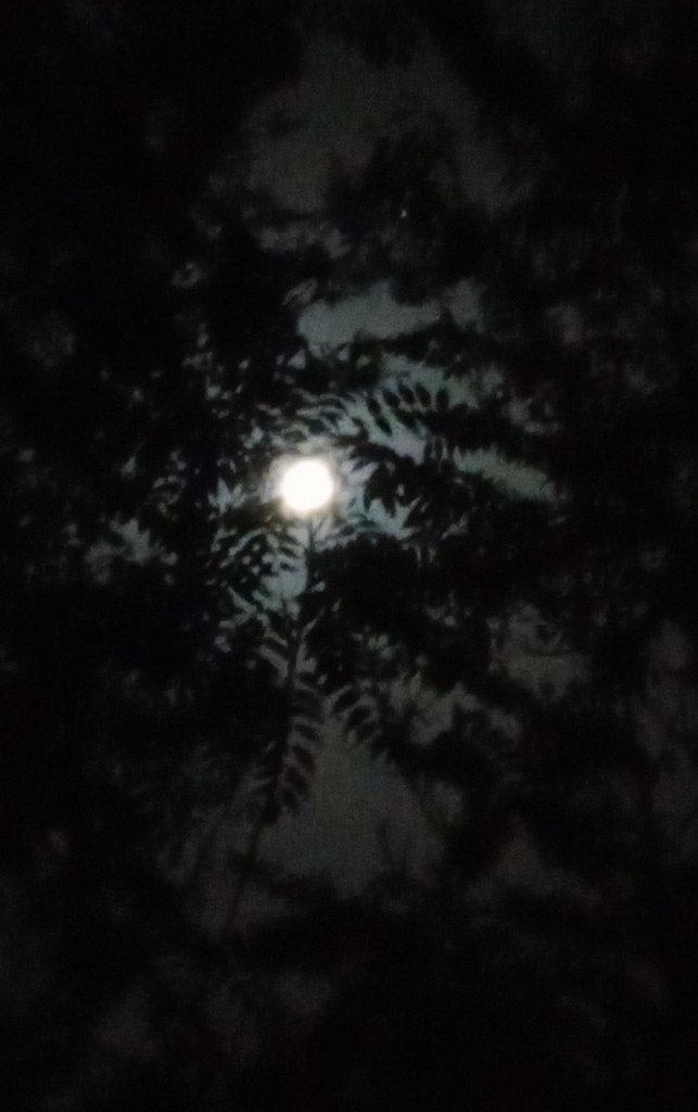 Foto: Noche de luna - Calatayud (Zaragoza), España
