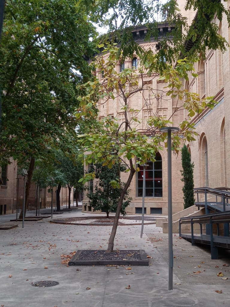 Foto: Antigua facultad de medicina - Zaragoza (Aragón), España