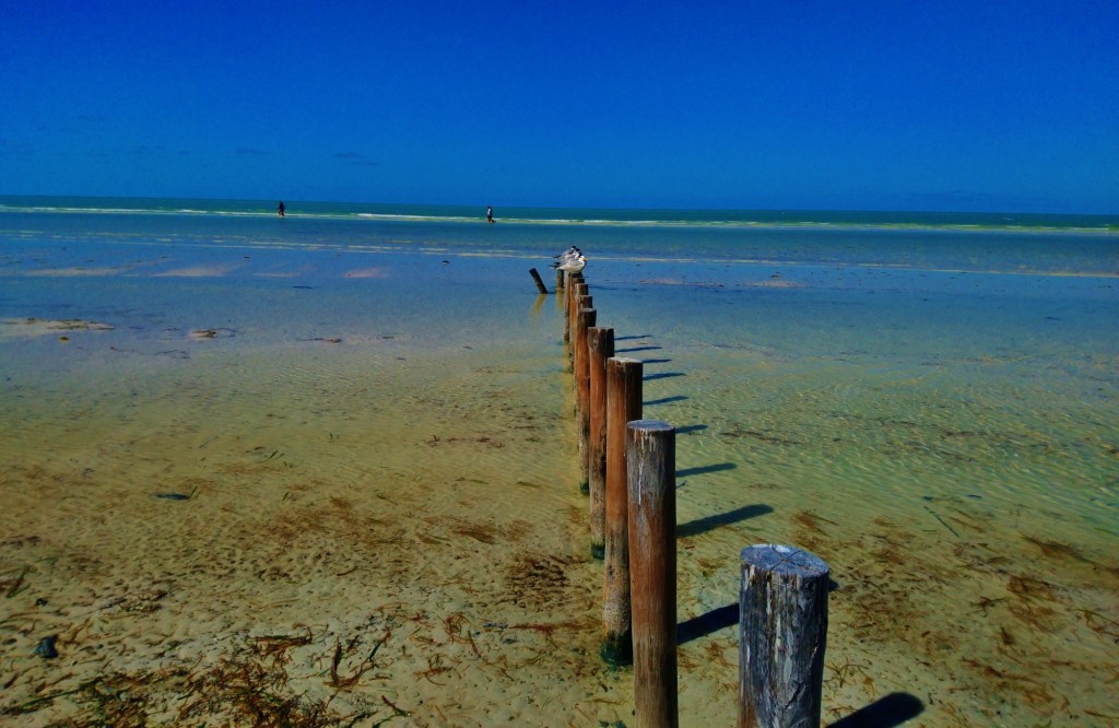 Foto: Playa Holbox - Holbox (Quintana Roo), México