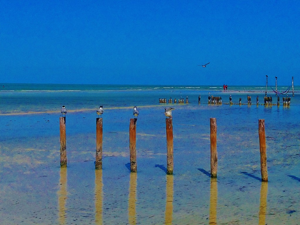 Foto: Playa Holbox - Holbox (Quintana Roo), México