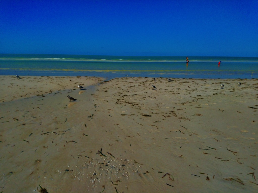 Foto: Playa Holbox - Holbox (Quintana Roo), México